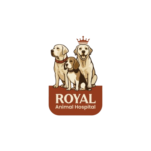 Royal Animal Hospital